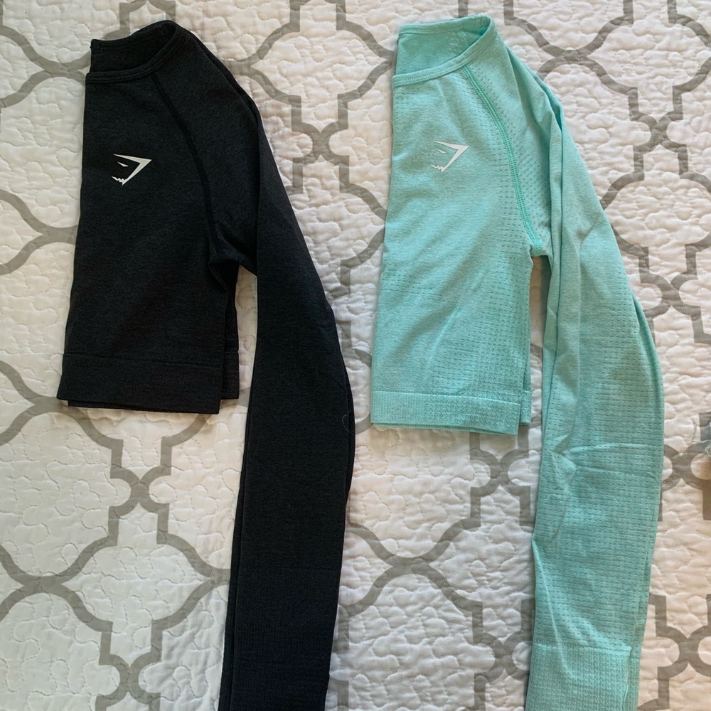 Gymshark seamless cropped long sleeve top